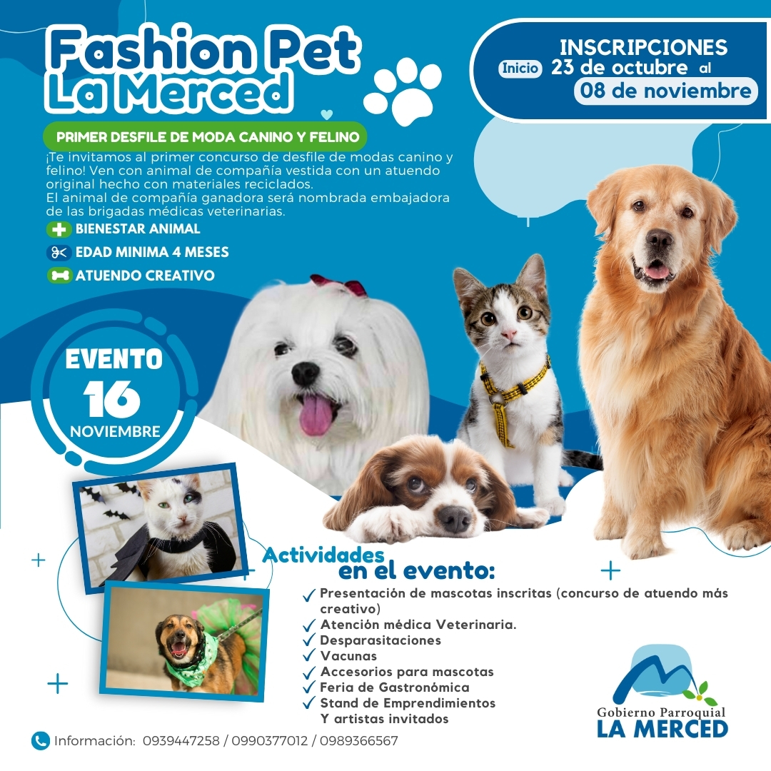 464346297 851841447145201 7463503591695125221 n